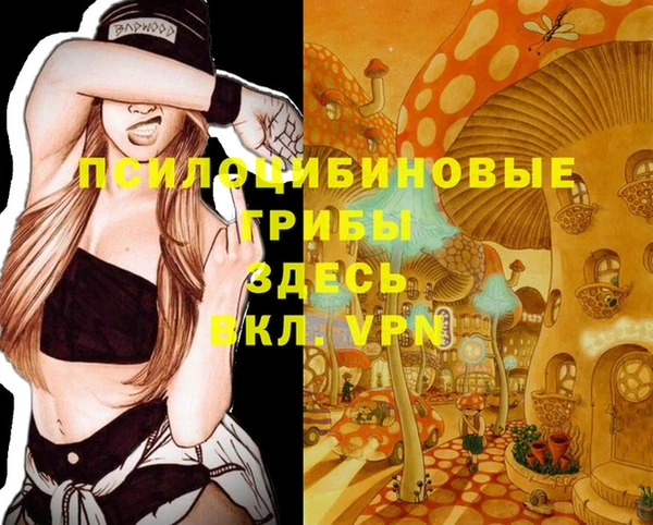 марки lsd Абаза