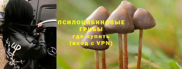 герыч Шали