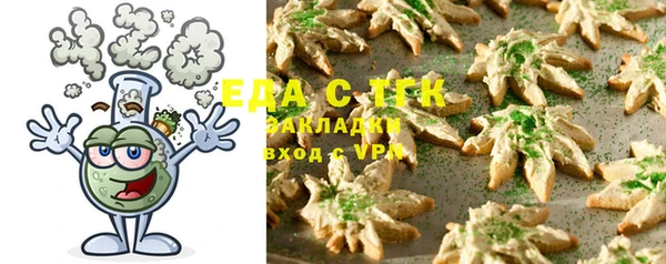индика Чердынь