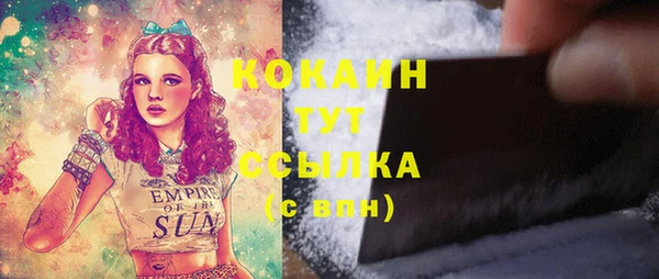 сатива Вязьма