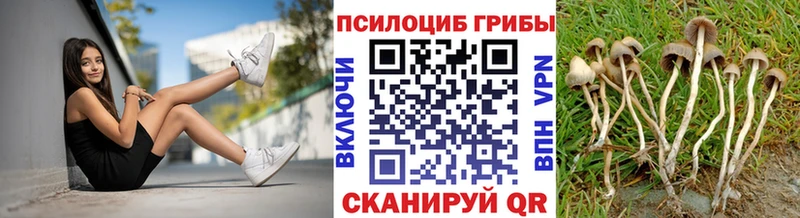 Галлюциногенные грибы GOLDEN TEACHER  blacksprut ссылки  Александровск 